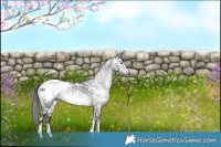 Horse Color:Gray Platinum White Spotted Brown Dun Sabino Snowcap 