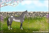 Horse Color:Platinum Brown Dun Sabino Snowflake Varnish
