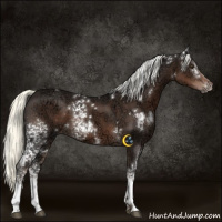 Horse Color:White Spotted Liver Chestnut Ice Mushroom 