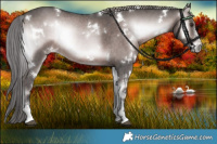 Horse Color:Platinum White Spotted Liver Red Onyx Sabino