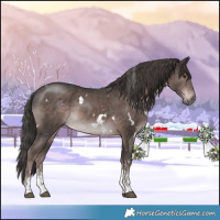 Horse Color:Platinum White Spotted Liver Chestnut Sabino 