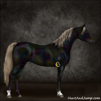 Horse Color:Midnight Liver Chestnut Ice 