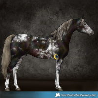 Horse Color:Gray Midnight Liver Chestnut Mushroom Tobiano Rabicano