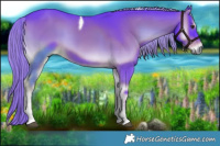Horse Color:Watercolor Liver Red Onyx Sabino Tobiano