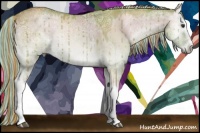 Horse Color:Painted Watercolor White Spotted Liver Red Dun Ice Onyx Brindle 