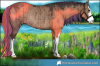 Horse Color:Painted White Spotted Liver Red Dun Rabicano Brindle 