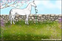 Horse Color:Gray Platinum Brown Dun Tobiano Near Leopard Rabicano 