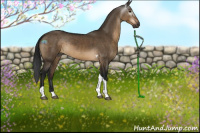 Horse Color:Gray Brown Dun Tobiano Rabicano 