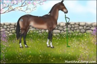 Horse Color:Brown Tobiano 