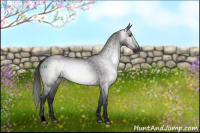 Horse Color:Gray Void Platinum Brown Dun Sabino Rabicano 