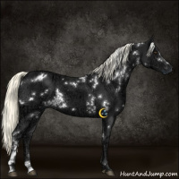 Horse Color:White Spotted Liver Chestnut Ice Mushroom 