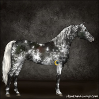 Horse Color:White Spotted Liver Chestnut Ice Mushroom 
