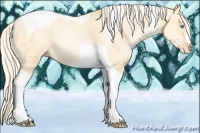 Horse Color:Palomino Pearl Dun Tobiano 