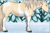 Horse Color:Palomino Dun Tobiano 