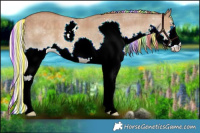 Horse Color:Painted Plaid  White Spotted Chocolate Palomino Dun Splash 