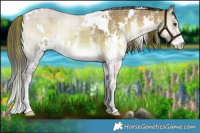 Horse Color:Plaid  White Spotted Liver Red Dun Onyx 