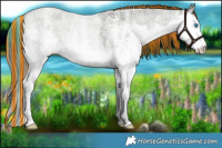 Horse Color:Painted Plaid White Spotted Liver Red Dun Ice Roan Splash Brindle