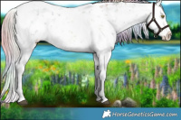 Horse Color:Nacre White Spotted Chocolate Palomino Ice Dun Sabino Rabicano