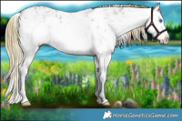 Horse Color:Watercolor Plaid  White Spotted Liver Red Dun Ice Sabino Splash Rabicano 