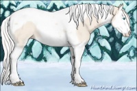 Horse Color:Cremello Sabino Splash Tobiano Rabicano 