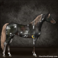 Horse Color:White Spotted Liver Chestnut Ice 