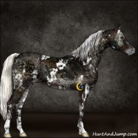 Horse Color:White Spotted Liver Red Onyx Ice Mushroom Sabino 