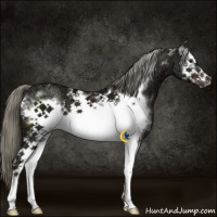 Horse Color:White Spotted Liver Chestnut Ice Mushroom Frame 