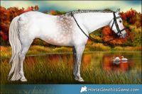 Horse Color:Gray Chocolate Palomino Tobiano Rabicano 