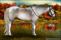Horse Color:Gray White Spotted Liver Chestnut Tobiano