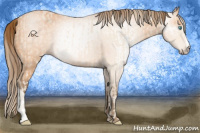 Horse Color:Perlino  and Gray Perlino 