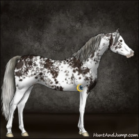 Horse Color:White Spotted Liver Chestnut Ice Mushroom Splash 