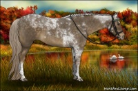 Horse Color:Chocolate Palomino Roan Tobiano Rabicano