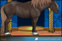 Horse Color:Liver Chestnut Rabicano 