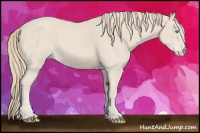 Horse Color:Smoky Creme Roan