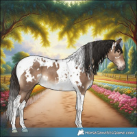 Horse Color:White Spotted Liver Red Dun Tobiano 