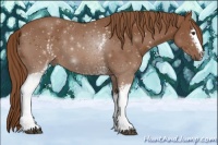 Horse Color:ERROR: UNKNOWN ANOMALY