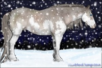 Horse Color:Liver Red Roan Mushroom Splash Rabicano