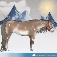 Horse Color:White Spotted Liver Red Dun Mushroom Sabino Rabicano