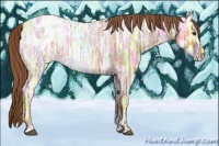 Horse Color:Red Ice Roan Appaloosa Rabicano 