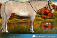 Horse Color:Chocolate Palomino Roan Dun Sabino Rabicano 