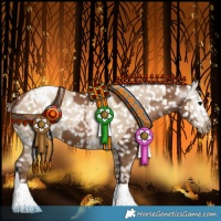 Horse Color:Gray Black Pearl Appaloosa  and Gray Grullo Pearl Appaloosa 