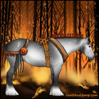 Horse Color:Gray Black Appaloosa 