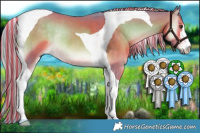 Horse Color:Painted Watercolor White Spotted Chocolate Palomino Onyx Tobiano Rabicano 