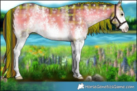 Horse Color:Painted Plaid  White Spotted Liver Red Dun Onyx Sabino 