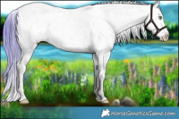 Horse Color:Watercolor Liver Red Dun Ice Sabino 