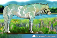 Horse Color:Watercolor White Spotted Chocolate Palomino Ice Sabino 