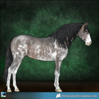 Horse Color:Brown Dun Mushroom Sabino Brindle 