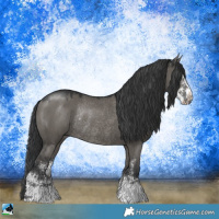 Horse Color:Grullo Mushroom Sabino Rabicano