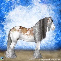 Horse Color:Bay Dun Sabino Splash Brindle