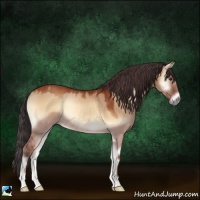 Horse Color:Brown Onyx Sabino Rabicano 
